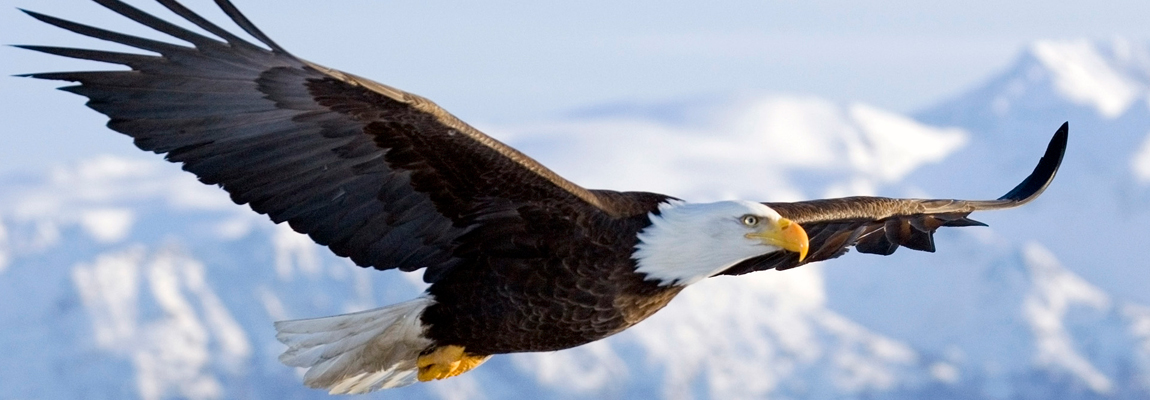 Looking for Happiness? Stop looking!