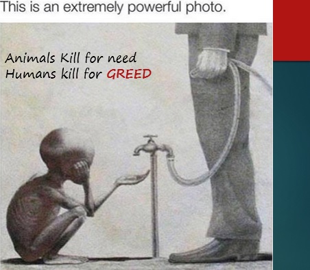 Humans Killing Humans